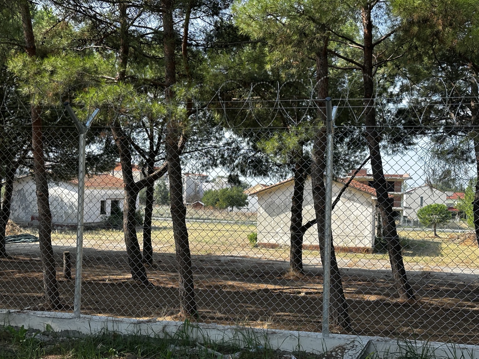 Κτίρια και πεύκα μέσα στο πρώην στρατόπεδο
