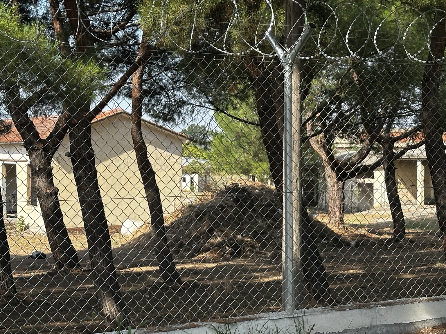 Συγκεντρωμένα κλαδιά και υπολείμματα εργασιών