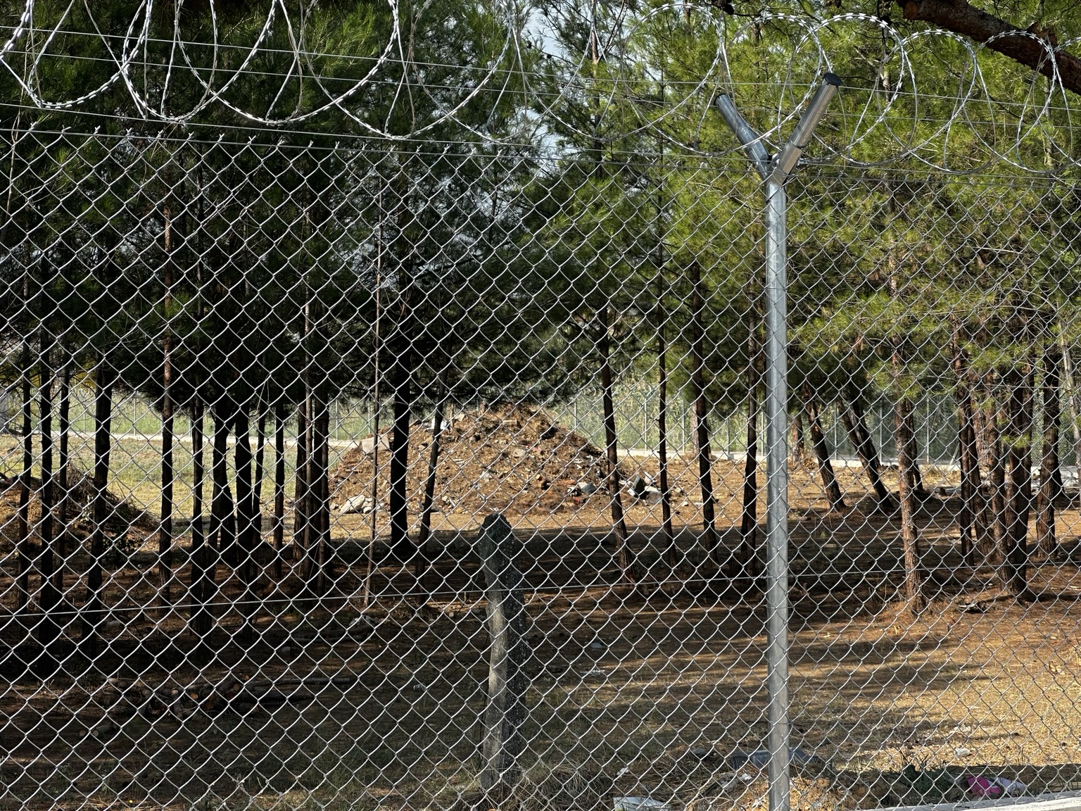 Σημείο της νέας περίφραξης ανάμεσα στα πεύκα